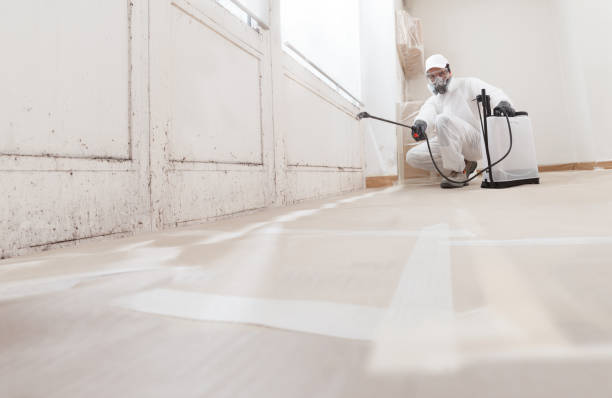 24/7 Emergency Attic Mold Removal experts in Trenton, MI